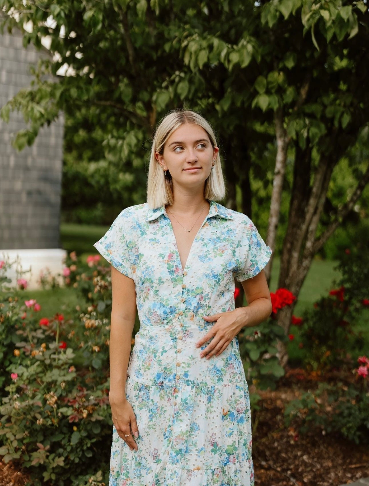 Garden Party Dress